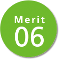 Merit06