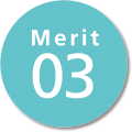 Merit03